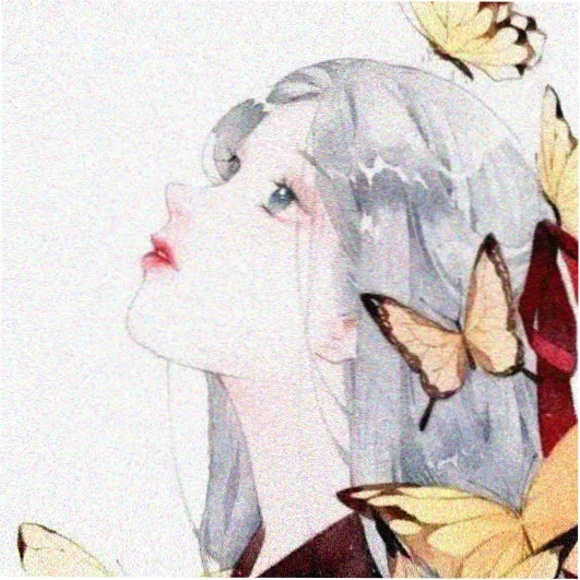 演员苏禾头像